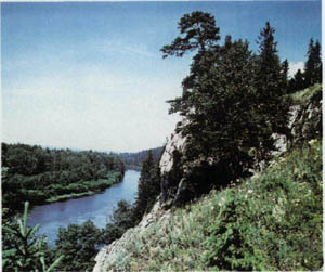 2101-19.jpg