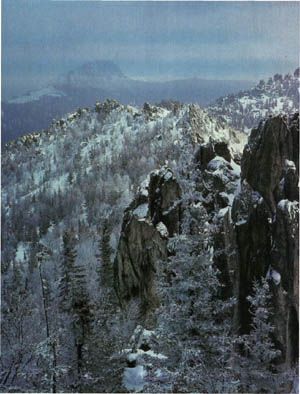 2101-21.jpg