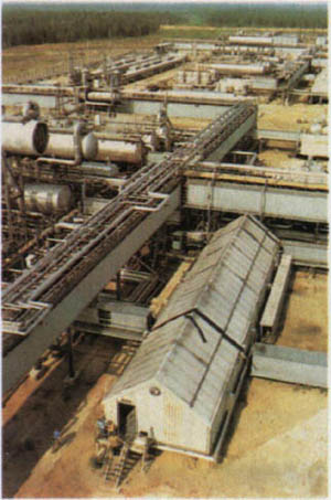 2101-24.jpg