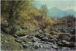 2101-25.jpg