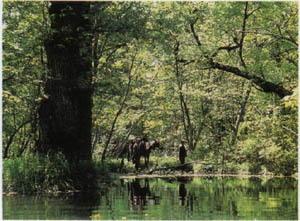 2101-26.jpg
