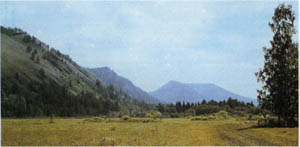 2101-30.jpg