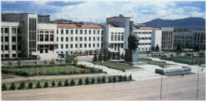 2101-7.jpg