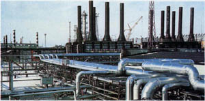 2301-14.jpg