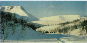 2301-15.jpg