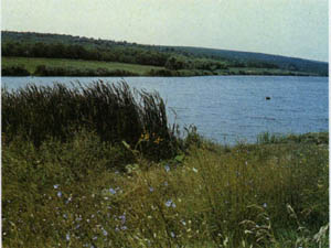 2301-18.jpg