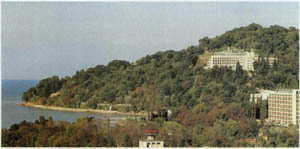 2301-20.jpg