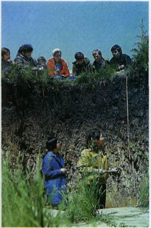 2401-4.jpg