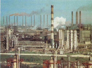 2501-10.jpg
