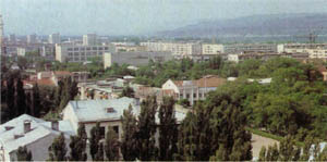 2501-11.jpg
