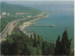 2501-12.jpg