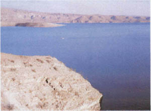 2501-16.jpg