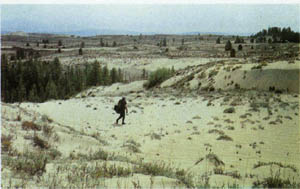 2501-19.jpg