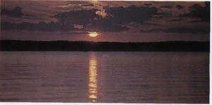 2501-24.jpg