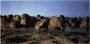 2501-28.jpg