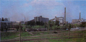 2501-7.jpg