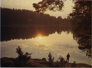 2501-8.jpg