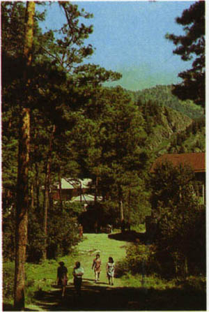 2501-9.jpg