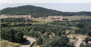 2601-2.jpg