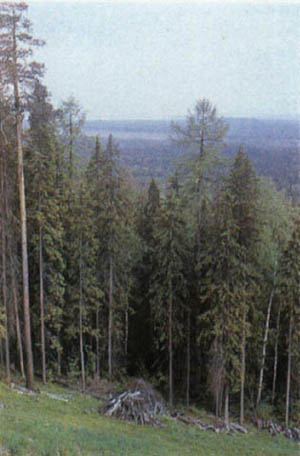 30-45.jpg