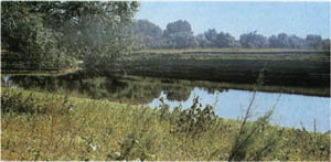 30-53.jpg