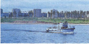31-46.jpg