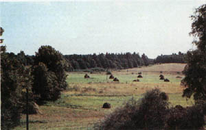 31-51.jpg