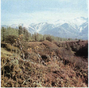 31-54.jpg