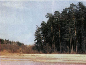 32-47.jpg