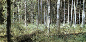 32-55.jpg