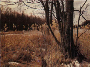 32-64.jpg