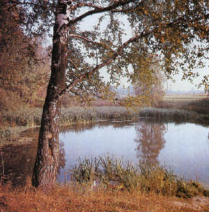 32-66.jpg