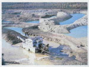 3301-5.jpg