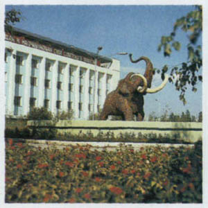 3301-7.jpg