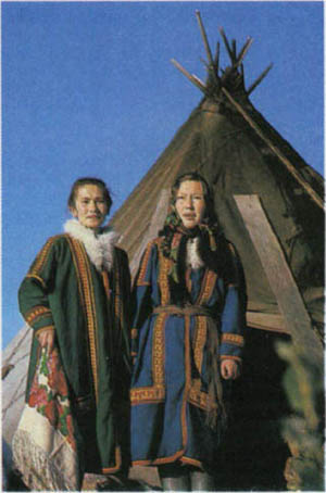 3301-9.jpg
