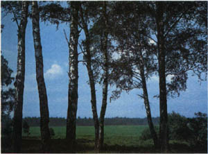 3a01-27.jpg