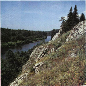 3a01-29.jpg
