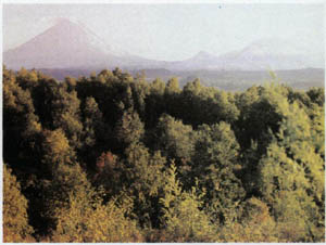 3a01-31.jpg