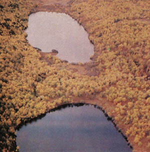 3a01-37.jpg