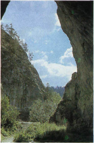 3a01-45.jpg