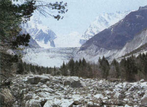 3a01-46.jpg