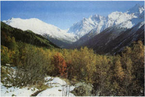 3a01-48.jpg