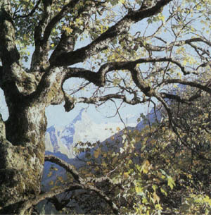 3a01-49.jpg
