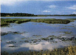 3a01-58.jpg