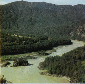 3a01-60.jpg