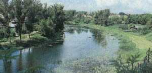 3a01-61.jpg