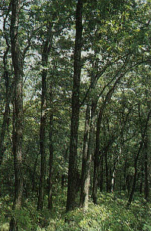 3a01-66.jpg