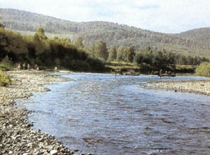 3a01-70.jpg