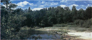 3a01-73.jpg