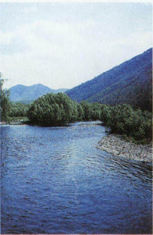 3a01-78.jpg